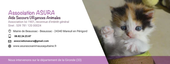 ASURA - Aide Secours Urgence Animaux