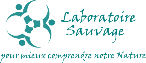 LABORATOIRE SAUVAGE