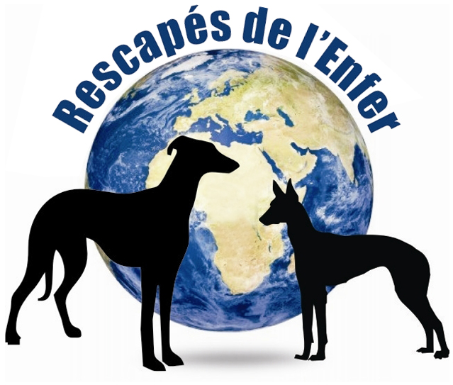 Les Rescapés de l'enfer