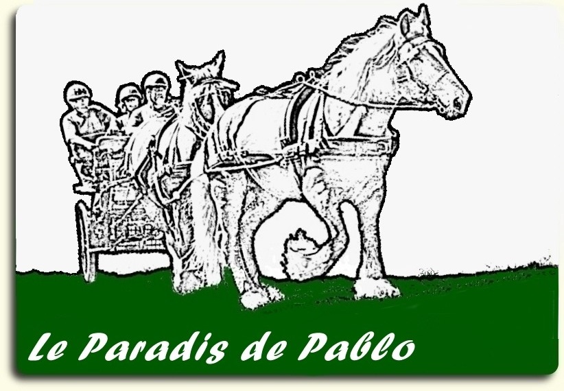LE PARADIS DE PABLO