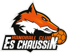 ES Chaussin Handball