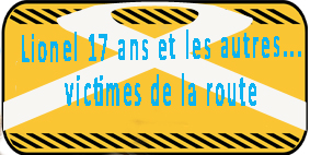 LIONEL 17 ANS ET LES AUTRES ... VICTIMES DE LA ROUTE