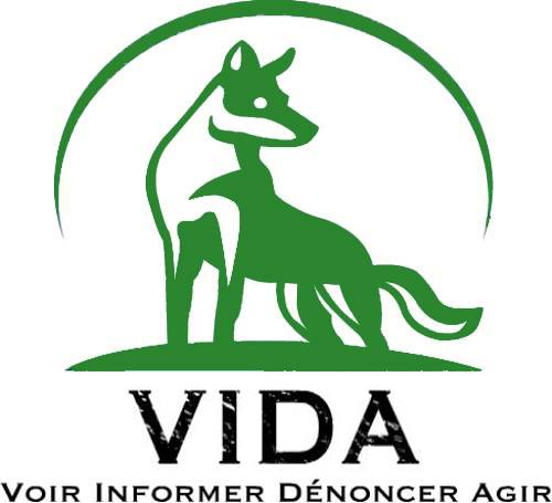 Vida