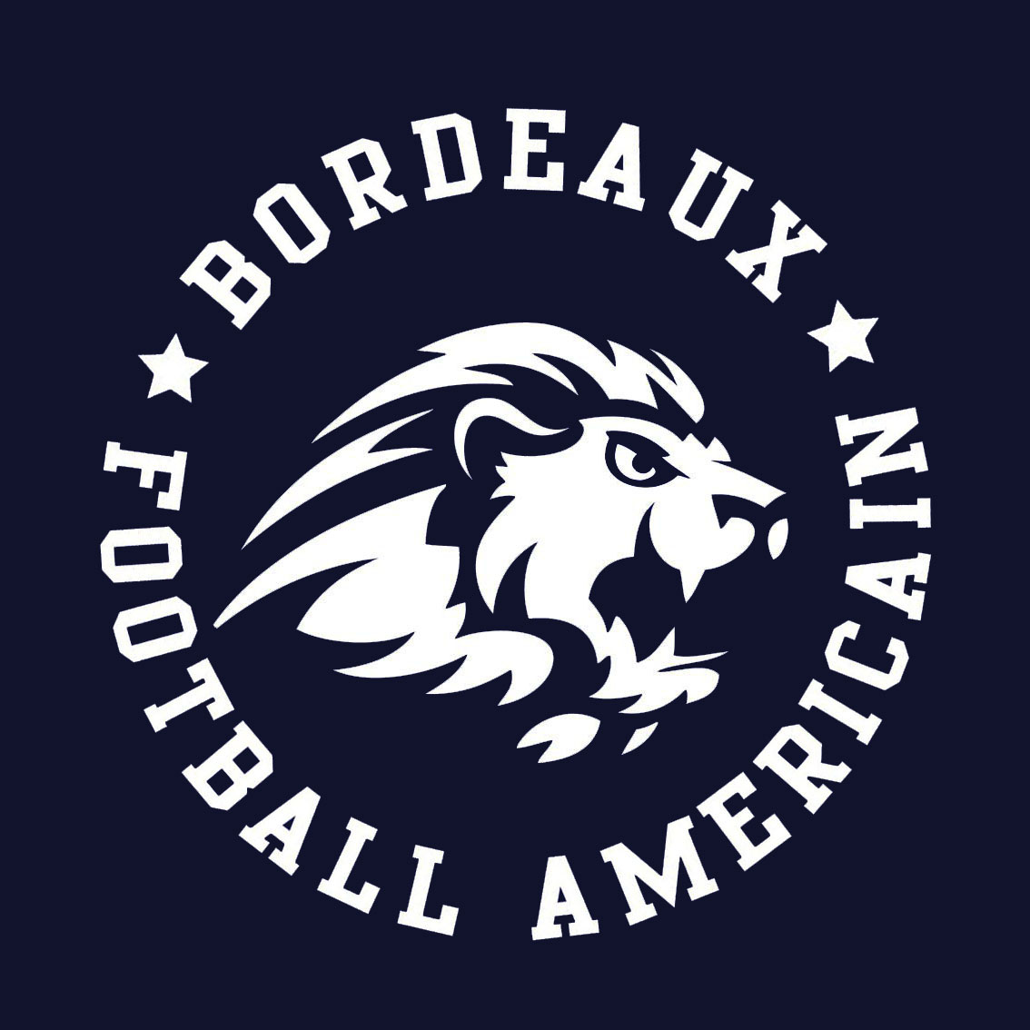 BORDEAUX FOOTBALL AMERICAIN - LES LIONS DE BORDEAUX