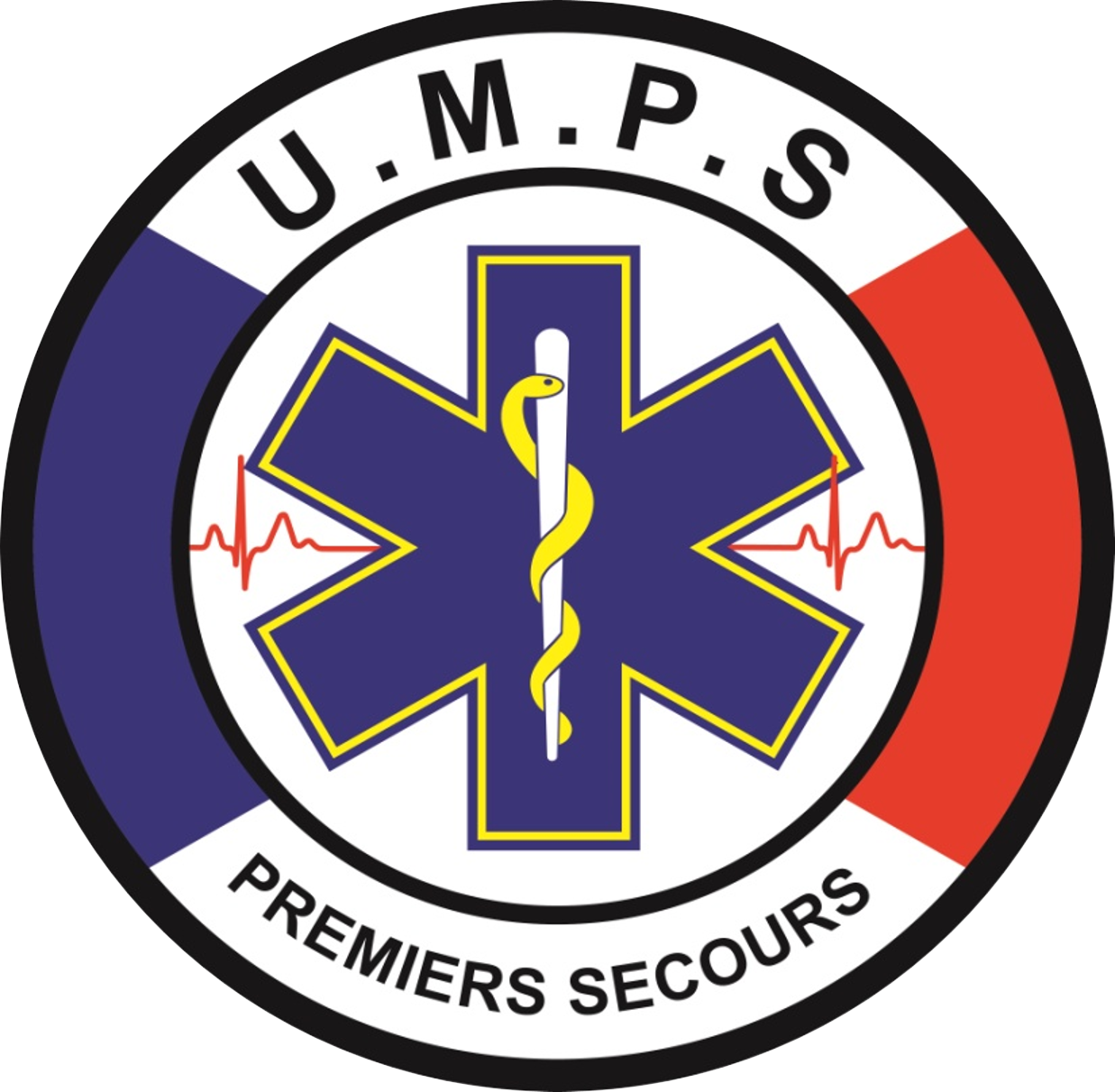 Unité Mobile de Premiers Secours 77 (UMPS 77)