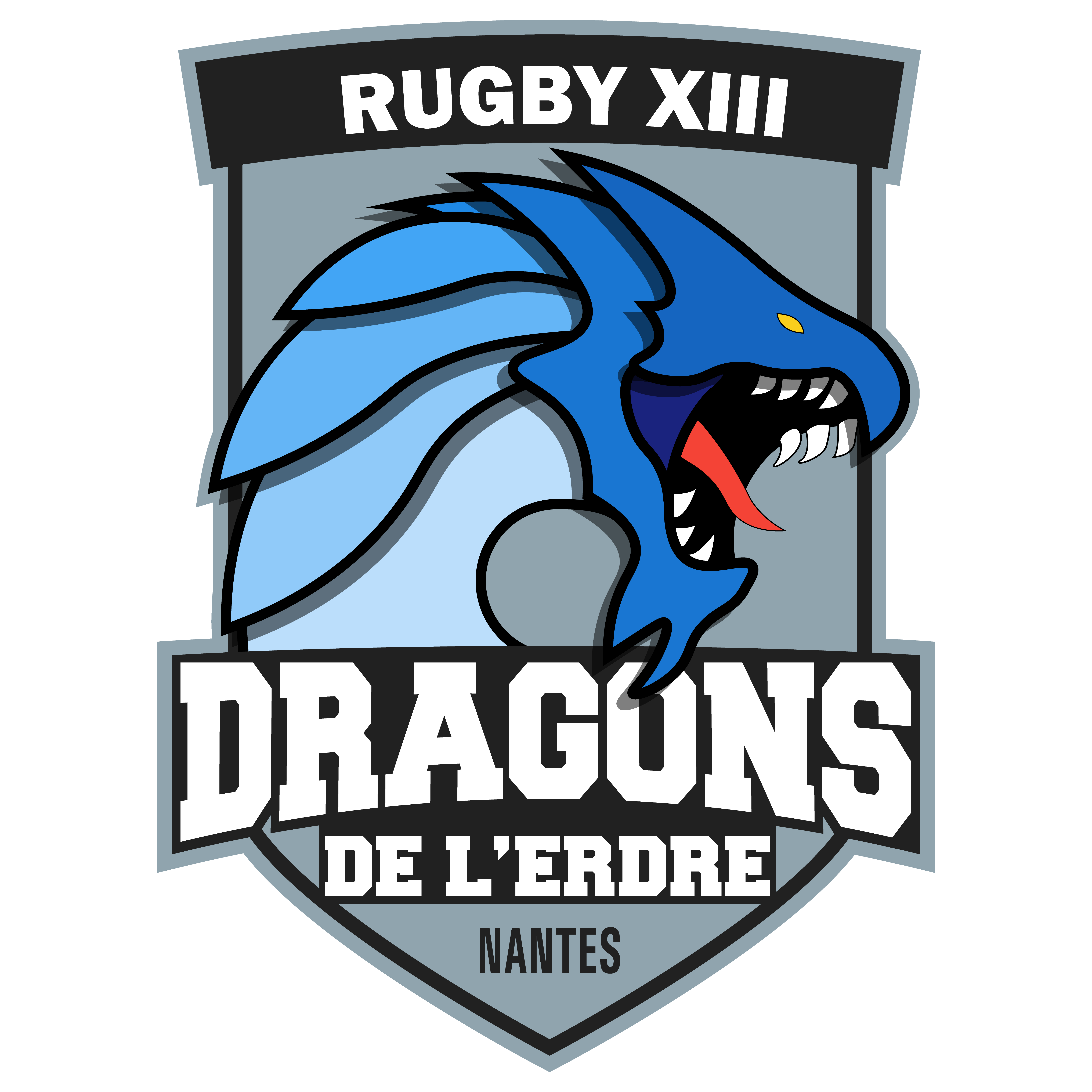ALSS RInk-hockey