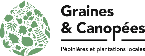 Graines et Canopées