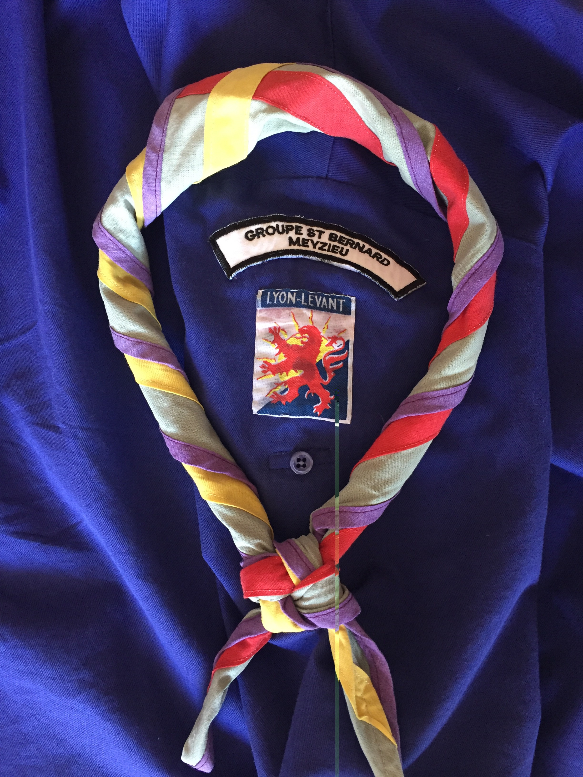 Scouts et Guides de France MEYZIEU