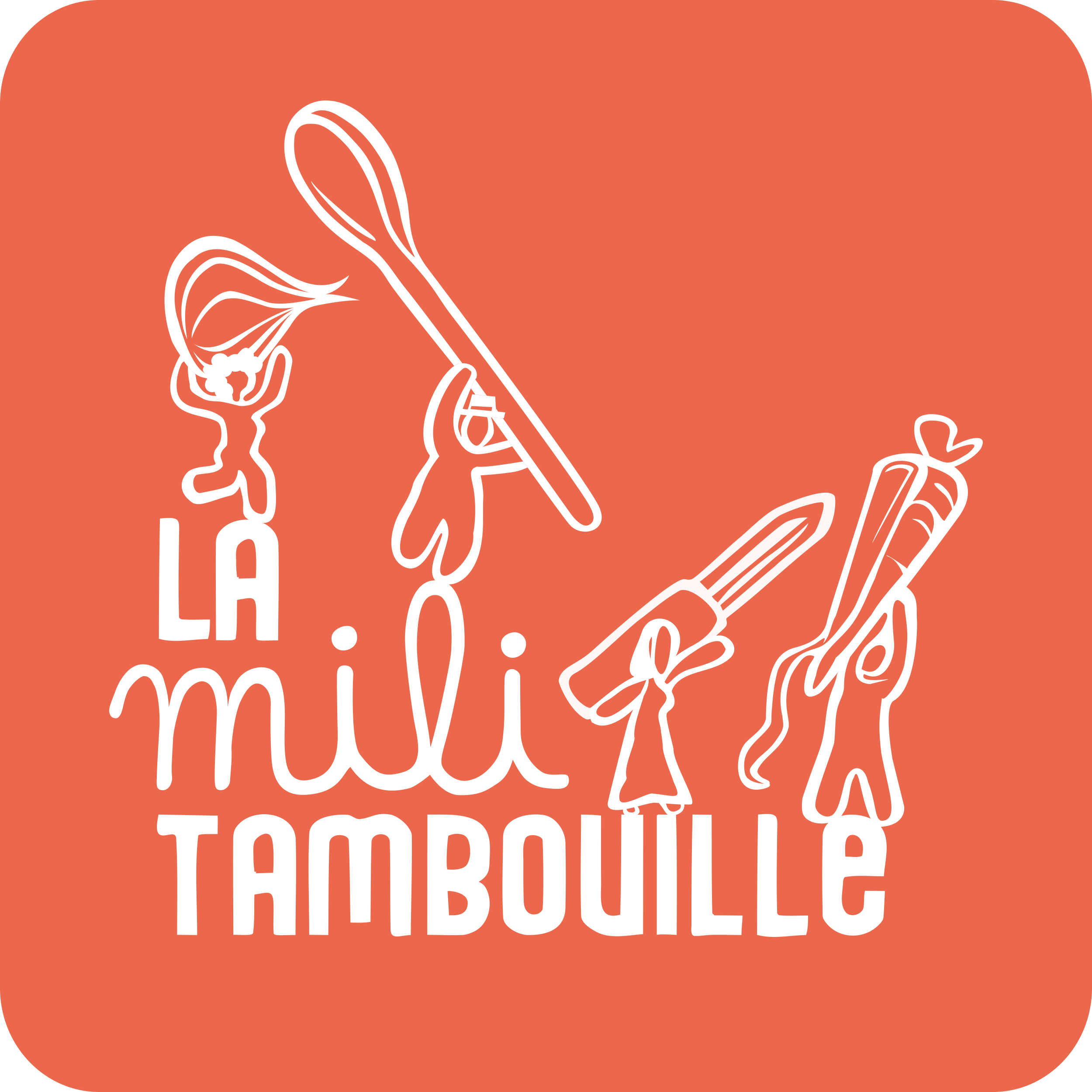 Les Amis de la Mili'Tambouille