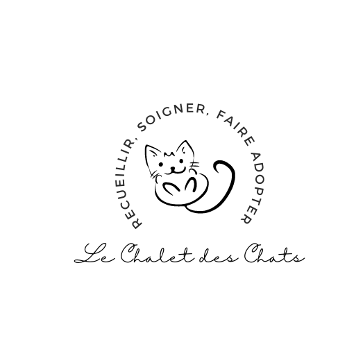 Le chalet des chats