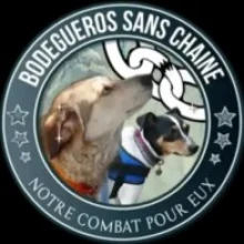 Bodegueros Sans Chaine