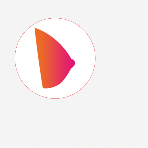 Reconstruction Sein Infos