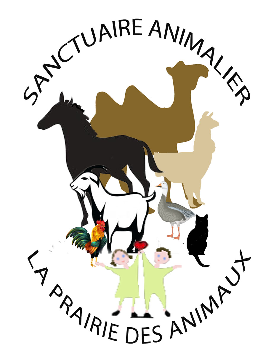 La Prairie Des Animaux