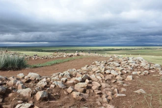 Institut d'archéologie et d'anthropobiologie