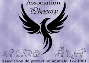 Association Phoenix