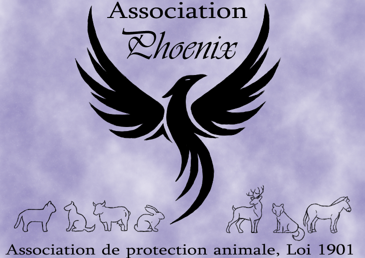 Association Phoenix