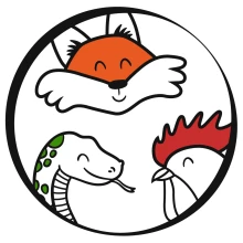 Poule Renard Vipère