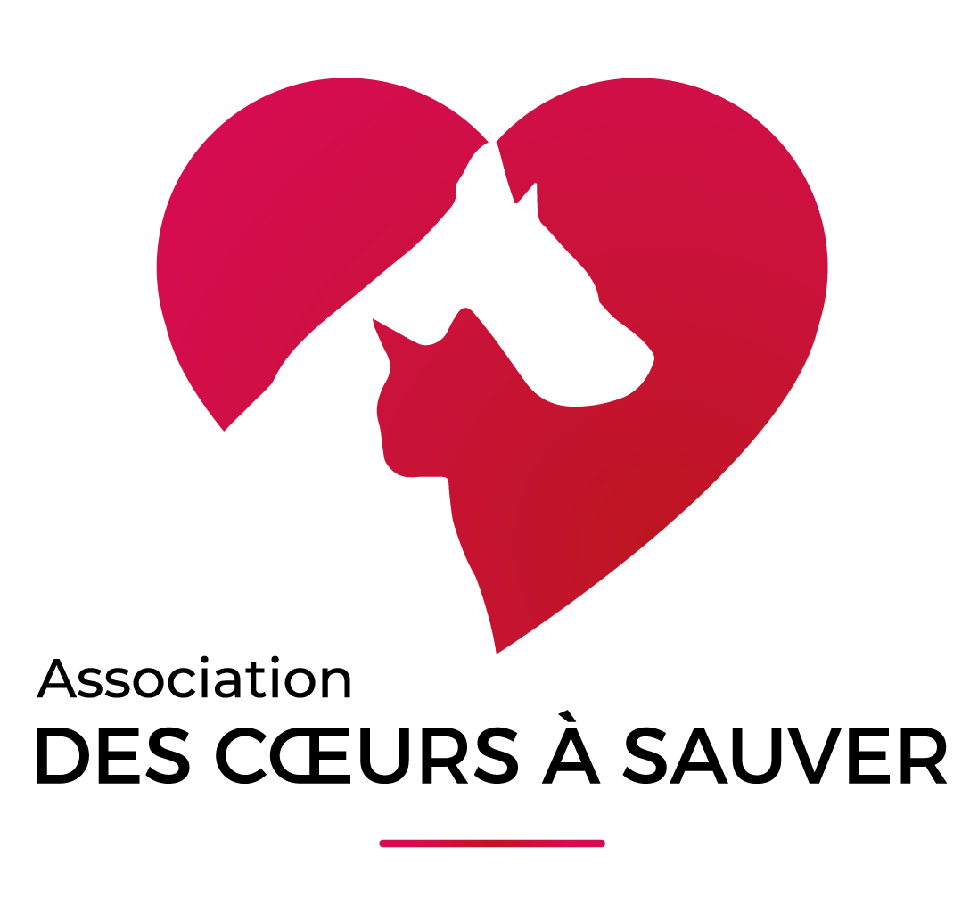 DES COEURS A SAUVER
