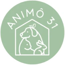 Animô31