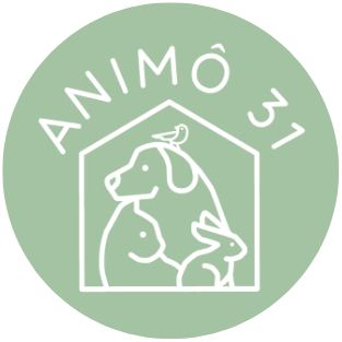 Animô31
