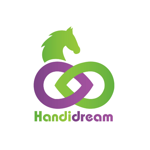 HANDIDREAM
