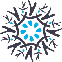 Cultures du Coeur Alpes du Sud 04-05