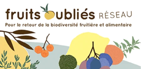 FRUITS OUBLIES - RESEAU