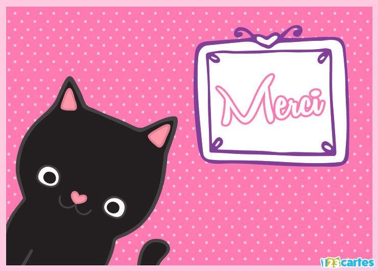 Les Chats de Rangueil