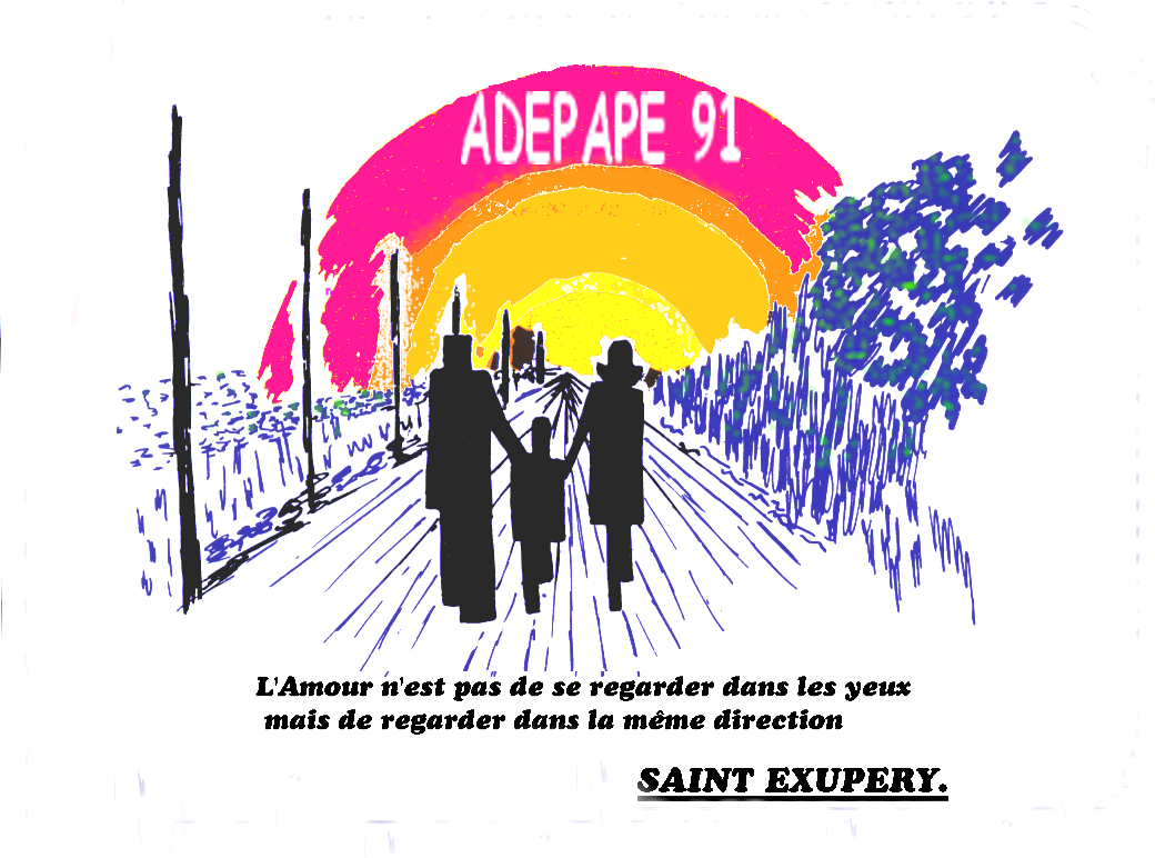 Association départementale Aide des personnes accueillies à la protection de l'enfance de l'Essonne A.D.E.P.A.P.E 91