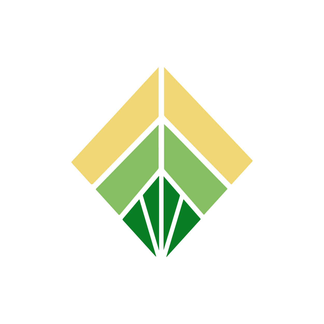 Constellation sociale