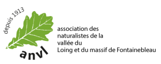 Association des Naturalistes de la Vallée du Loing et du massif de Fontainebleau (ANVL)