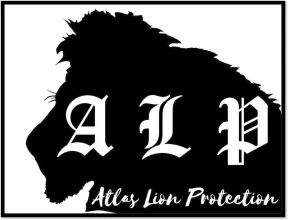 Atlas Lion Protection