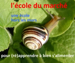 L'école du marché, une école hors les murs pour l'apprentissage du bien s'alimenter
