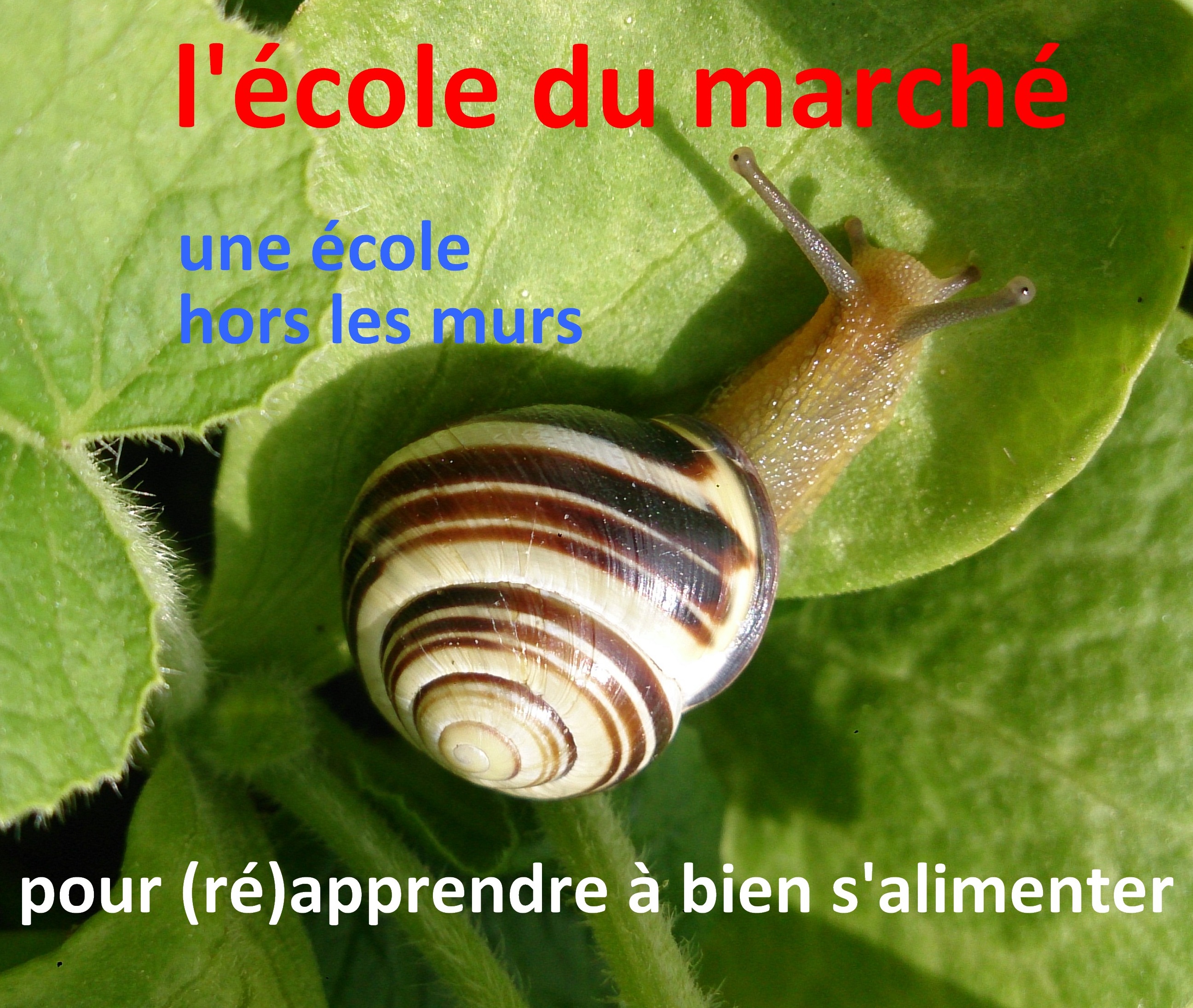 L'école du marché, une école hors les murs pour l'apprentissage du bien s'alimenter