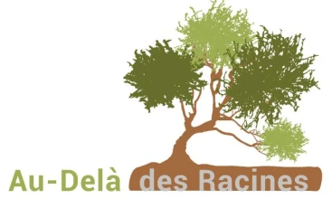 Au-delà des racines