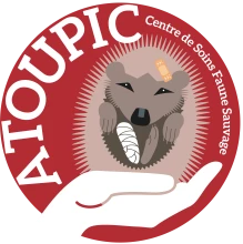 ATOUPIC