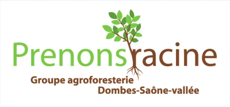 Prenons Racine