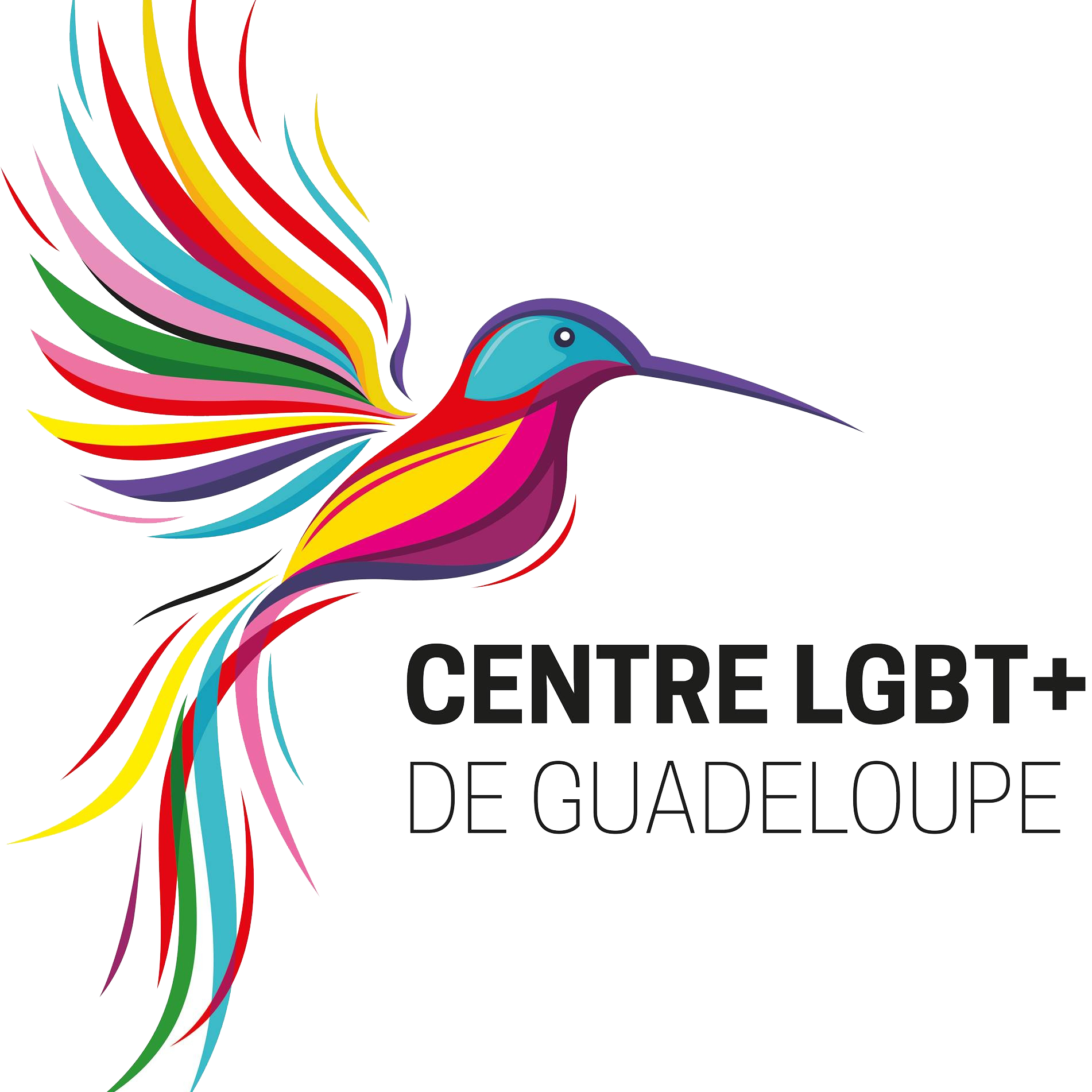 Centre Lgbt+ De Guadeloupe