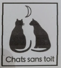 CHATS SANS TOIT