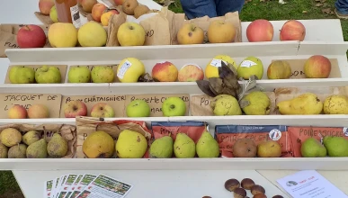 Société pomologique du Berry - Antenne du Cher