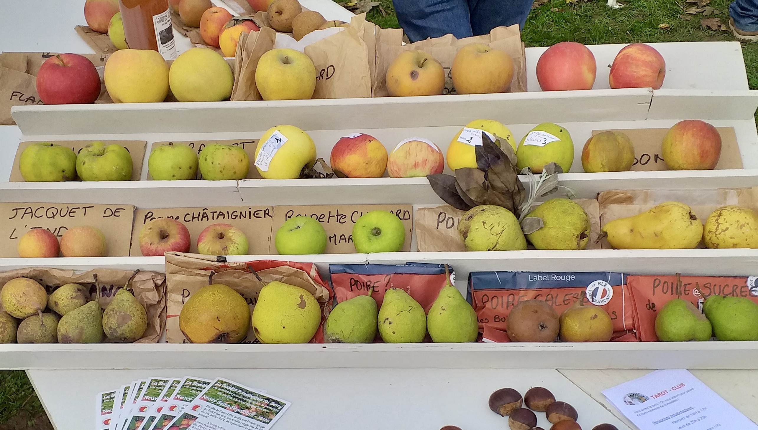Société pomologique du Berry - Antenne du Cher