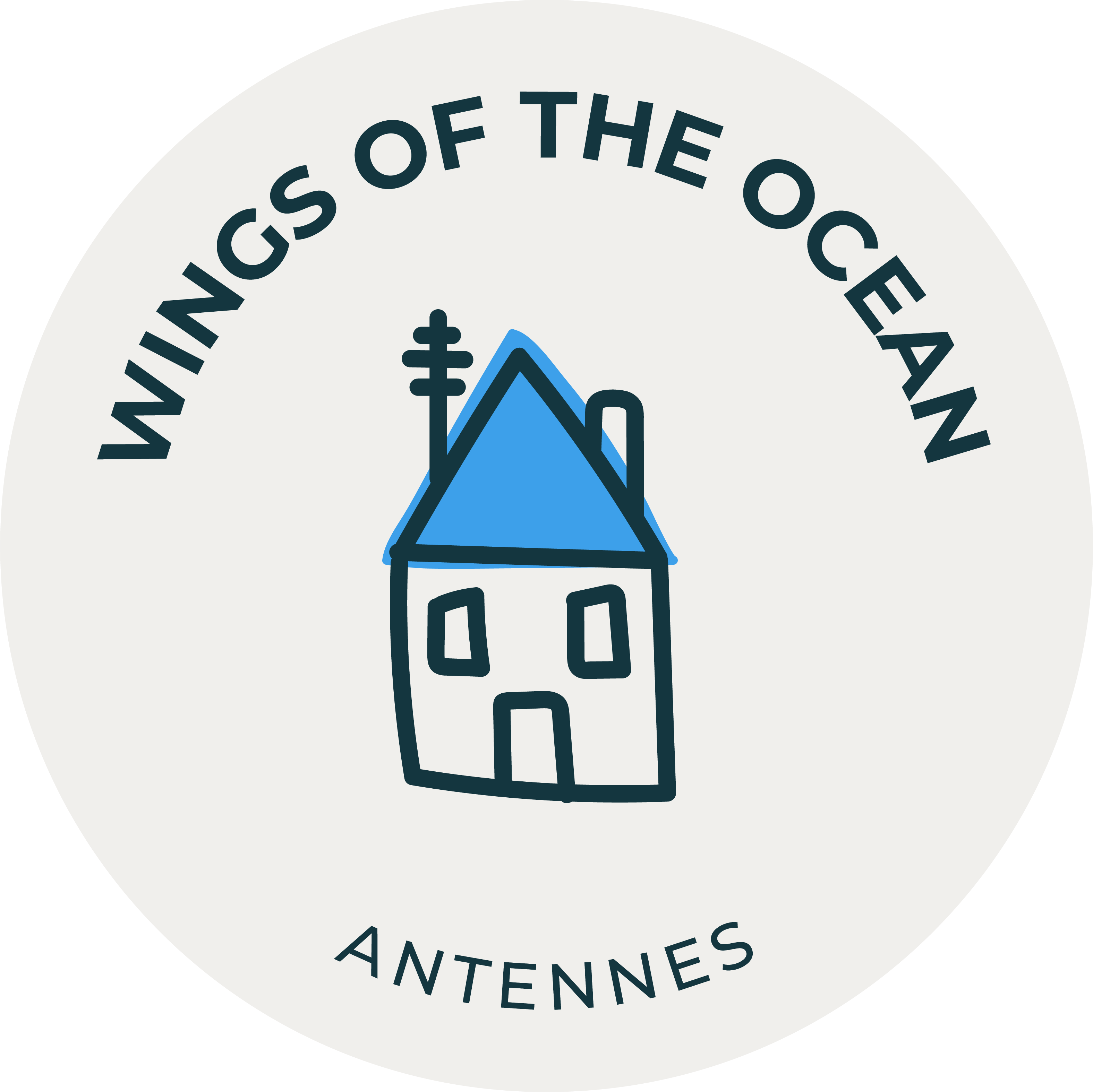 Wings Of The Ocean / Antenne Lyon