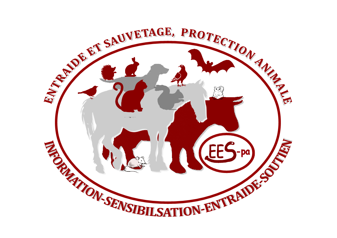 Entraide et sauvetage, protection animale