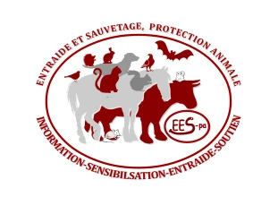 Entraide et sauvetage, protection animale