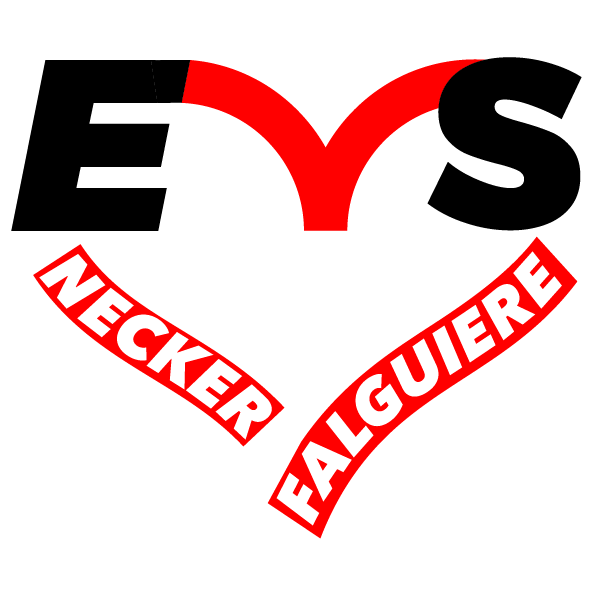 ESPACE de VIE SOCIALE NECKER-FALGUIERE