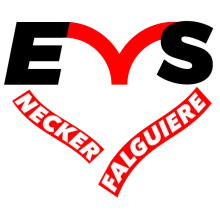 ESPACE de VIE SOCIALE NECKER-FALGUIERE