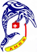 Association Montalbanaise Sauvetage Secourisme (AMSS82)