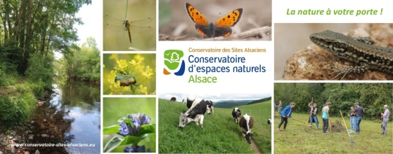 Conservatoire d'espaces naturels d'Alsace - CSA