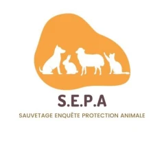 Sauvetage Enquête Protection Animale