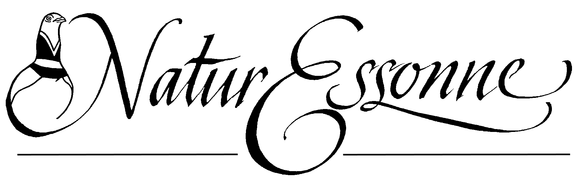 NATURESSONNE